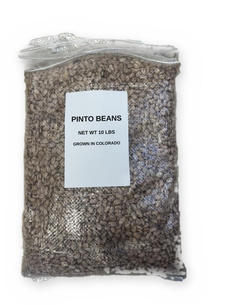 A 10 lb bag of pinto beans, front view